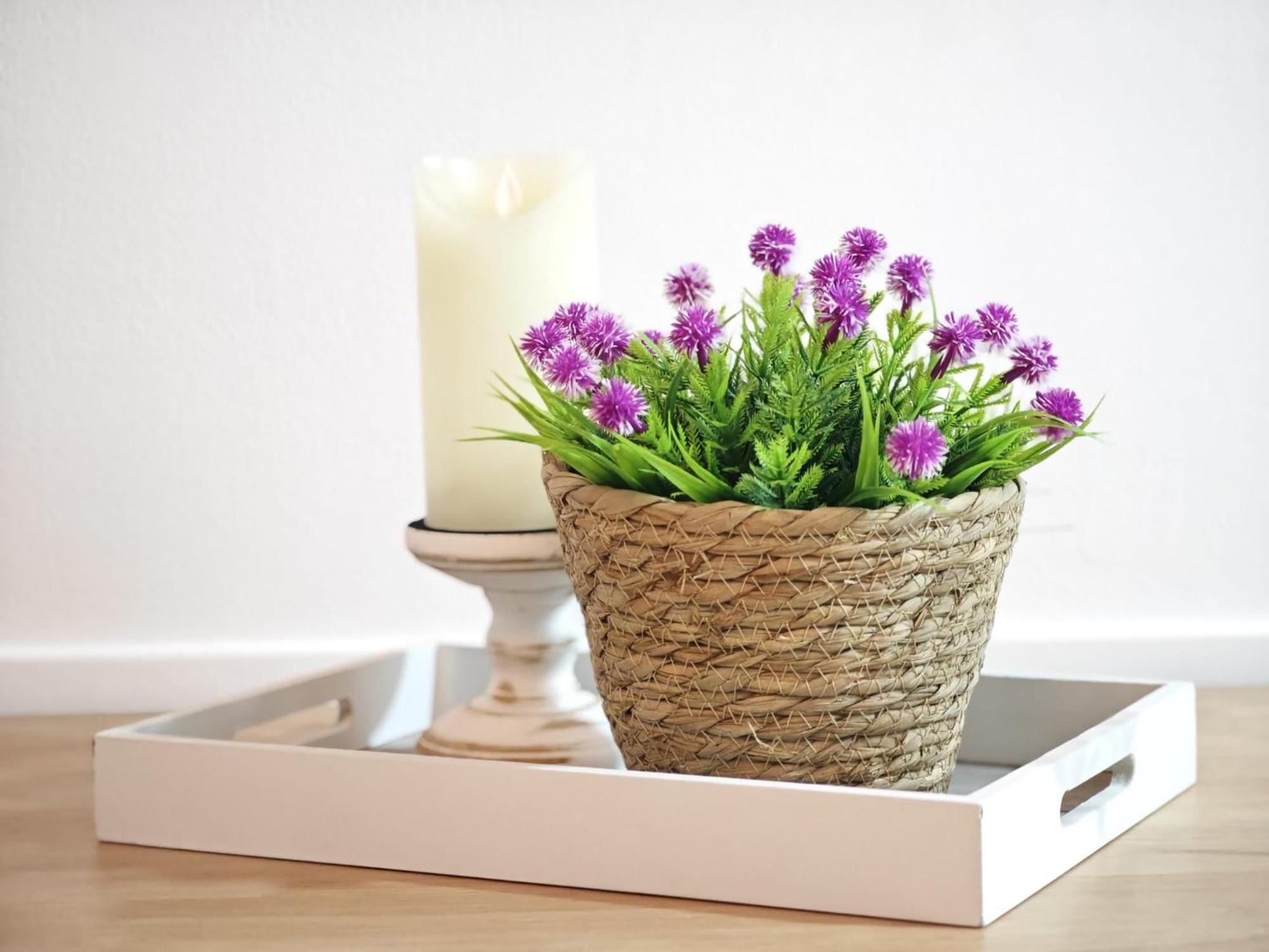 קדיז Apartamento Del Mercado Little Apartments מראה חיצוני תמונה